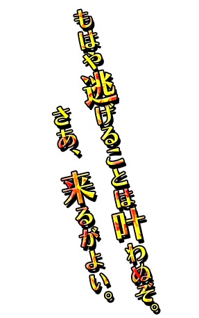 「もはや逃げることは叶わぬぞ。さあ、来るがよい。」