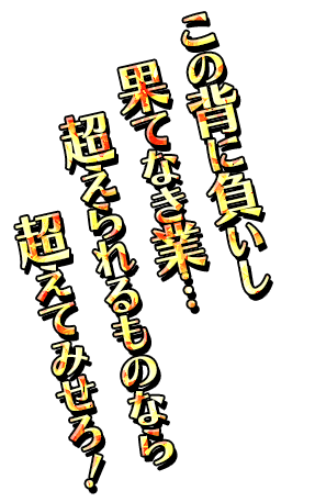 「この背に負いし果てなき業…超えられるものなら超えてみせろ！」